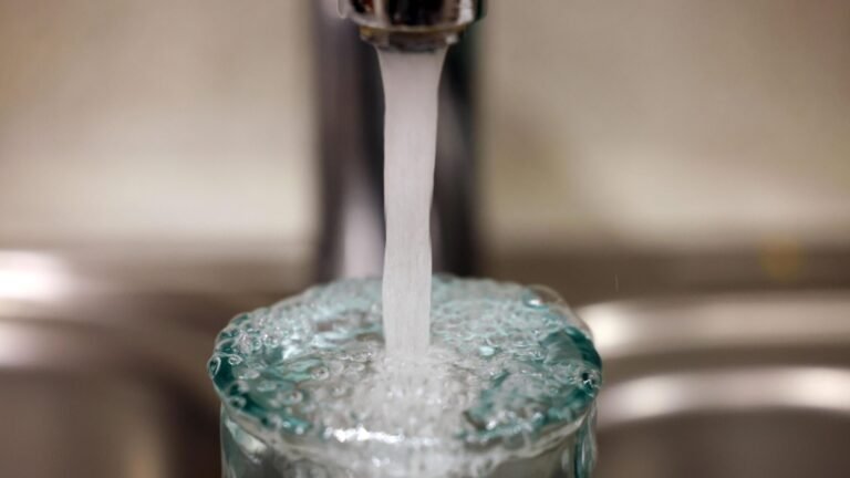 A Closer Look at What Your Kitchen Water Really Needs