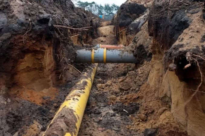 Understanding the Warning Signs of a Failing Sewer Pipe